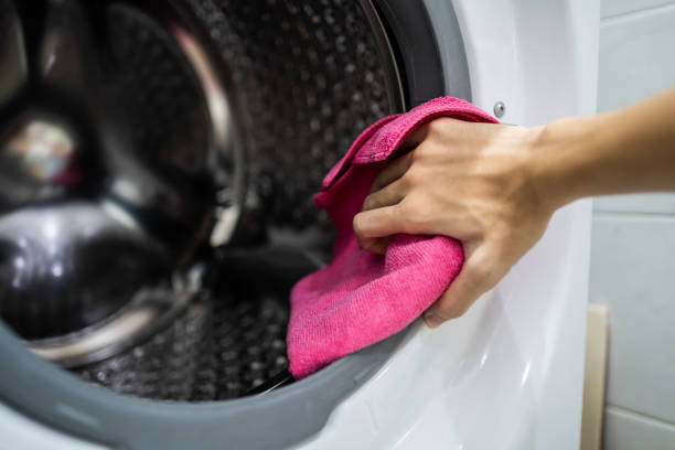 Brewster Heights, NY Mold Removal Company
