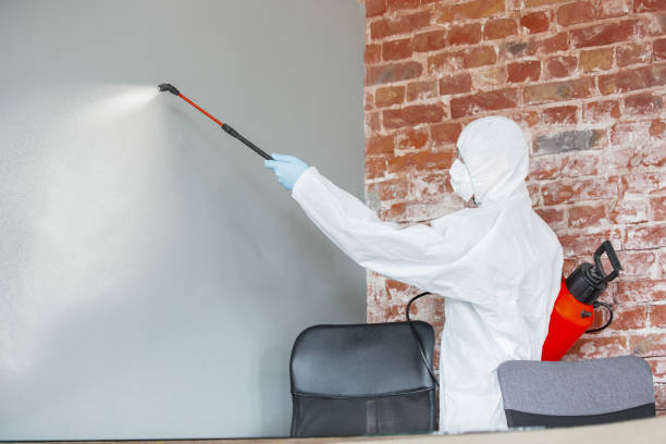 Best Mold Remediation for Healthcare Facilities  in Brewster Heights, NY
