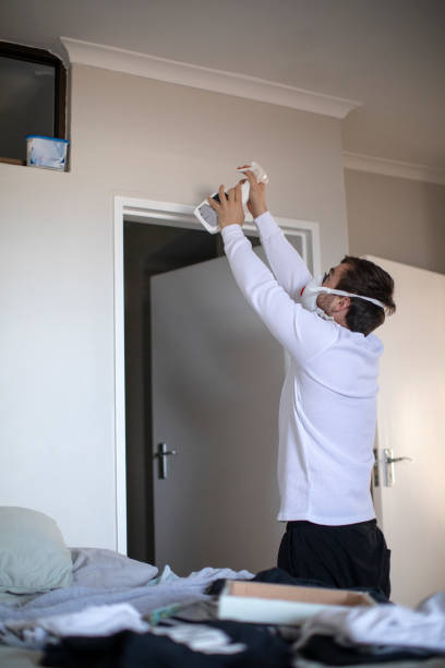 Best Mold Removal for HVAC Installations  in Brewster Heights, NY