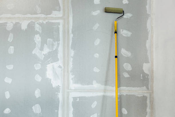 Best Black Mold Removal  in Brewster Heights, NY