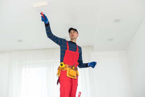  Brewster Heights, NY Mold Removal Pros